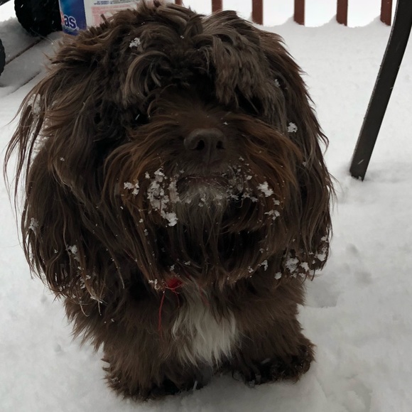 Meet your Posher, Debbie❣️💕🤗😊🍷😍☃️ - Picture 6 of 8